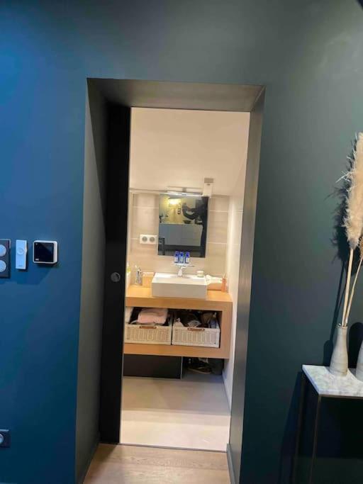 Loft Centre Situe Dans Rue Calme * Grenoble