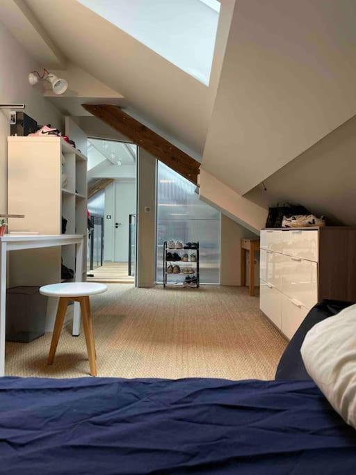 Loft Centre Situe Dans Rue Calme * Grenoble