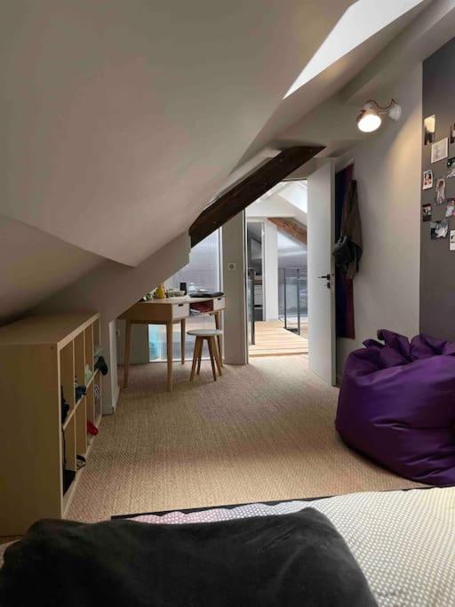 Loft Centre Situe Dans Rue Calme Apartment Grenoble