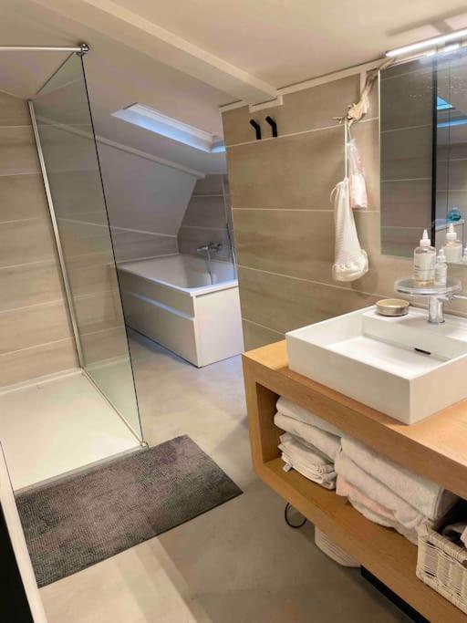 Loft Centre Situe Dans Rue Calme Grenoble